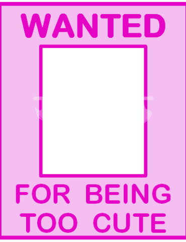 Photo Frames (Wanted)