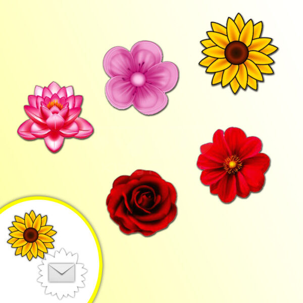 Flowers-Shape-Envelopes