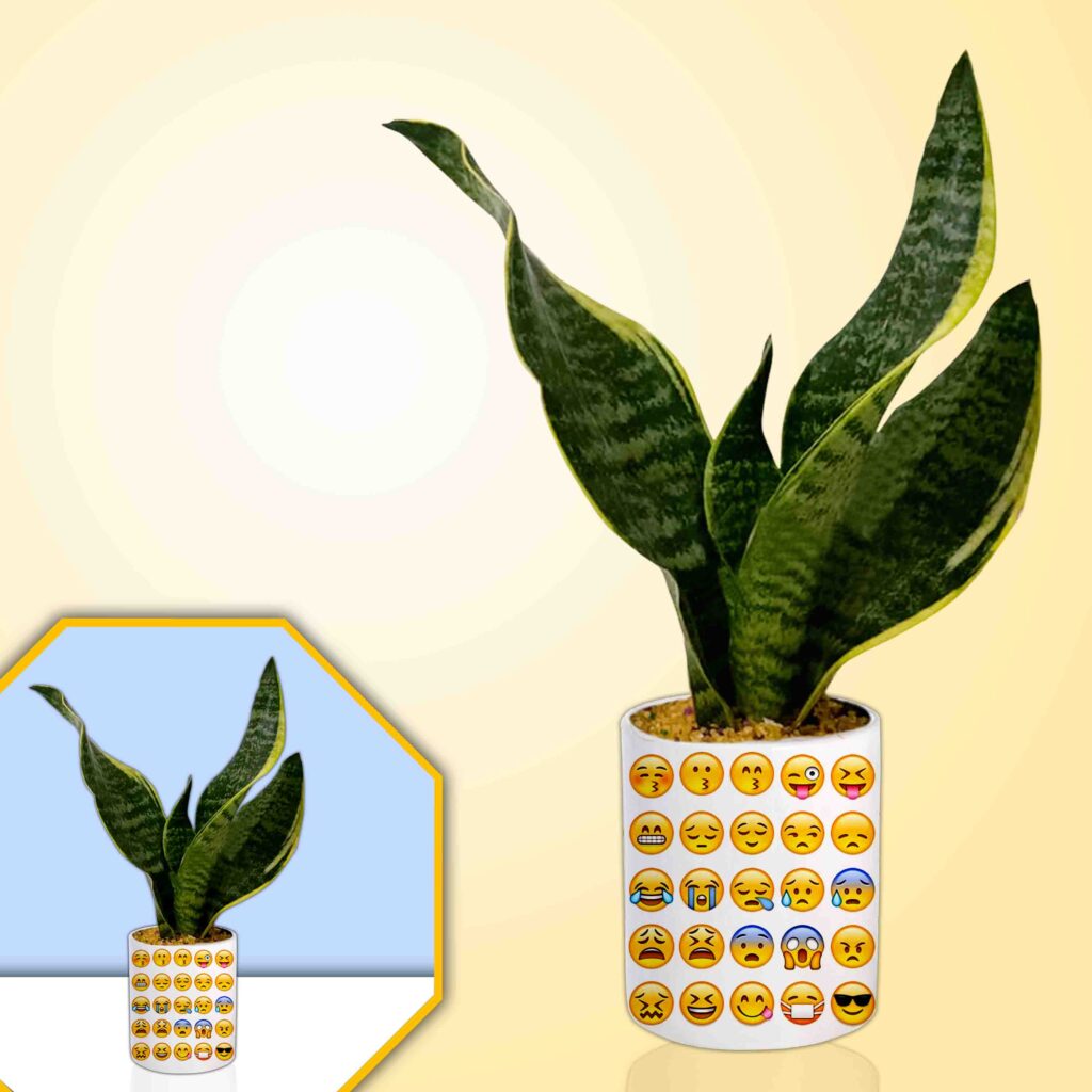 Smiley Theme Planter - kittypartyy