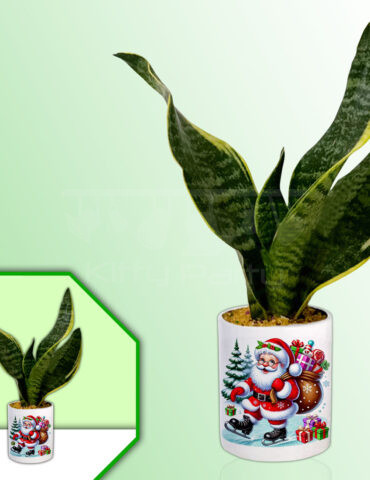 Christmas Theme Planter