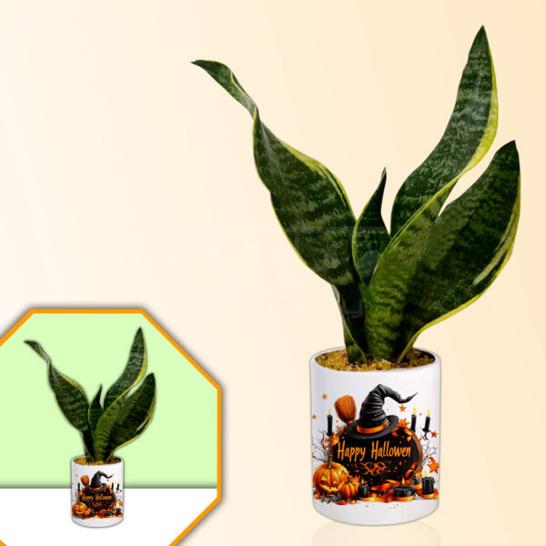 Halloween Theme Planter