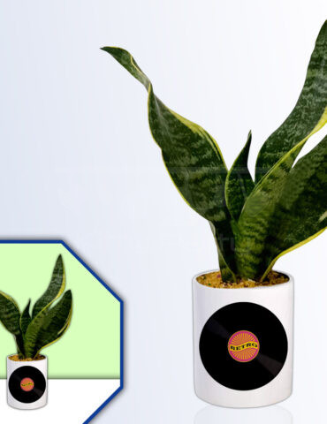 Retro Theme  Planter