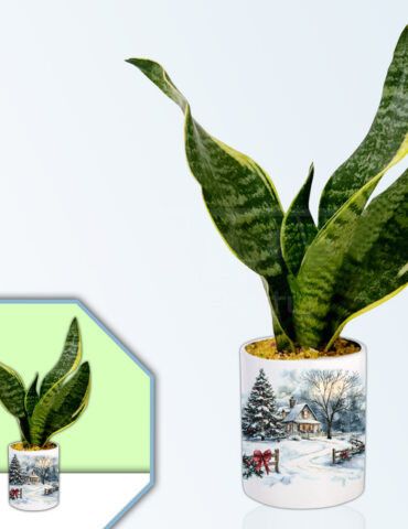 Winters Theme Planter