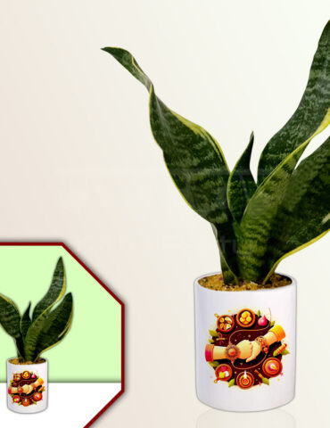Rakhi Theme Planter