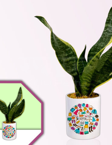 Shopaholic-Theme-Planter