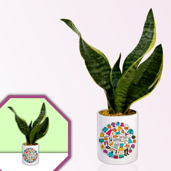 Shopaholic-Theme-Planter