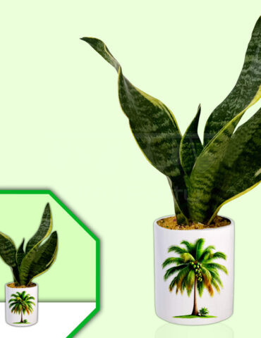 South Indian Theme Planter