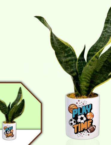 Sports Theme  Planter