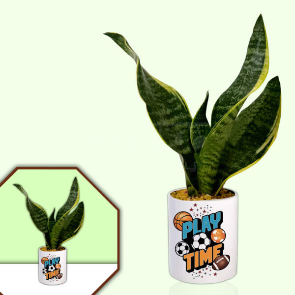 Sports Theme Planter