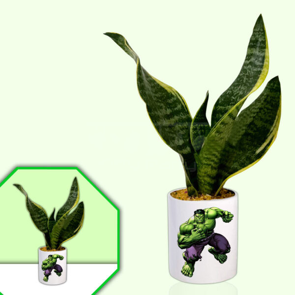 Super Heroes Theme Planter