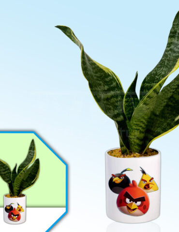 Angry-Birds-Theme-Planter