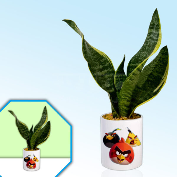 Angry-Birds-Theme-Planter