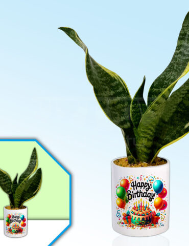 Birthday-Party-Theme