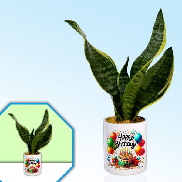 Birthday-Party-Theme