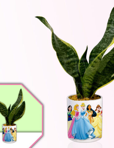 Cartoons-Theme-Planter