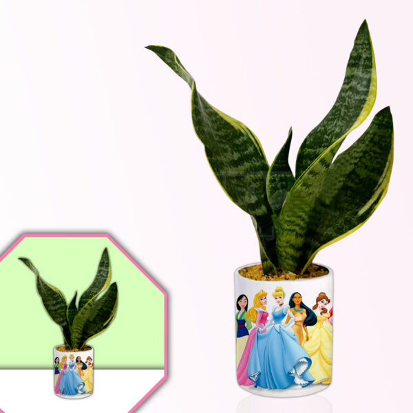 Cartoons-Theme-Planter