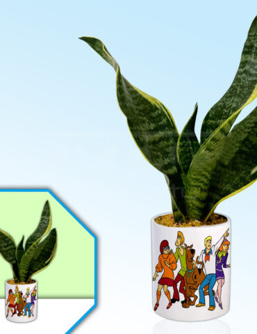 Childhood-Theme-Planter