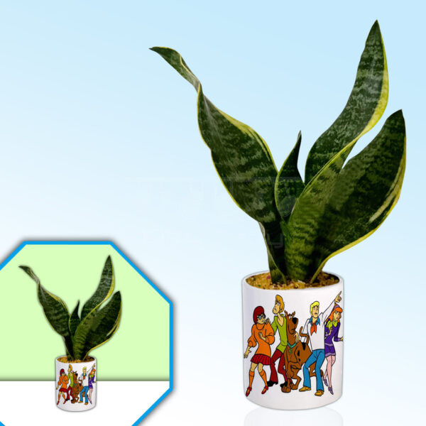 Childhood-Theme-Planter