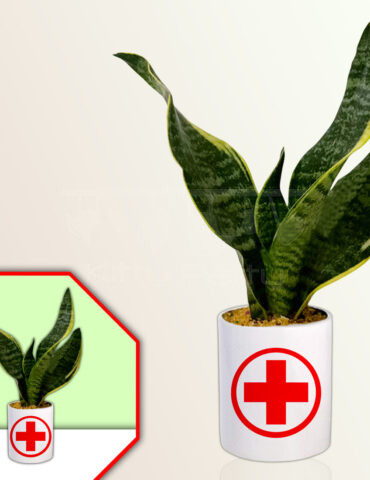 Doctor-Theme-Planter