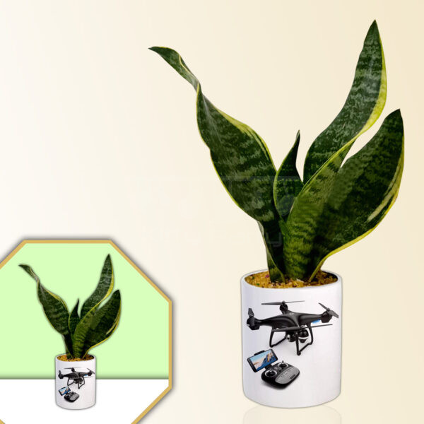 Gadgets-Theme-Planter