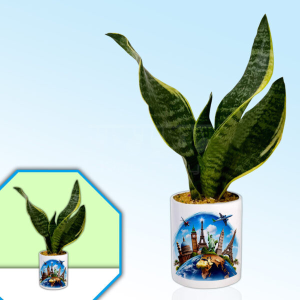 Holiday-Theme-Planter