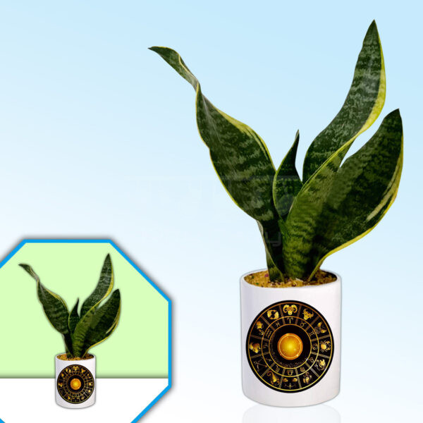 Horoscope-Theme-Planter