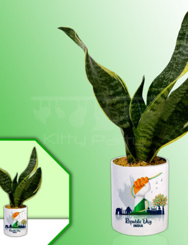 Independence-Theme-Day-Planter