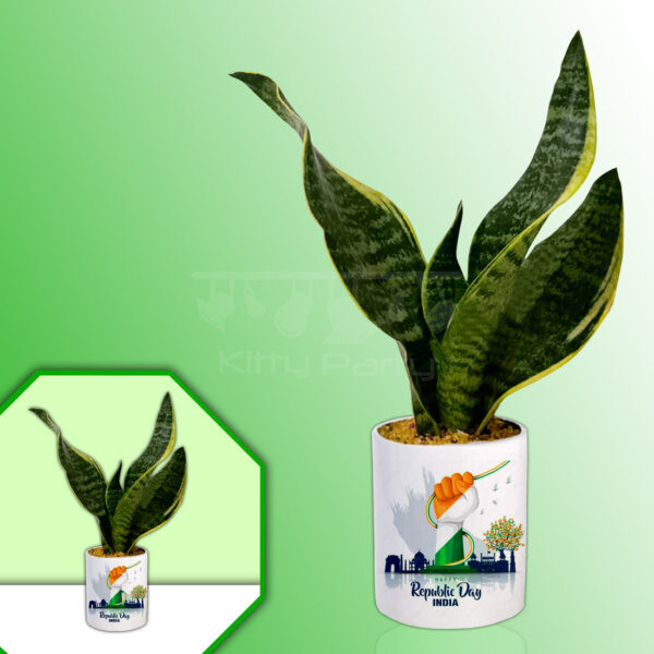 Independence-Theme-Day-Planter