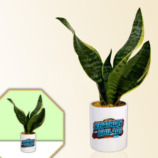 Khatron-Ke-Khiladi-Theme-Planter