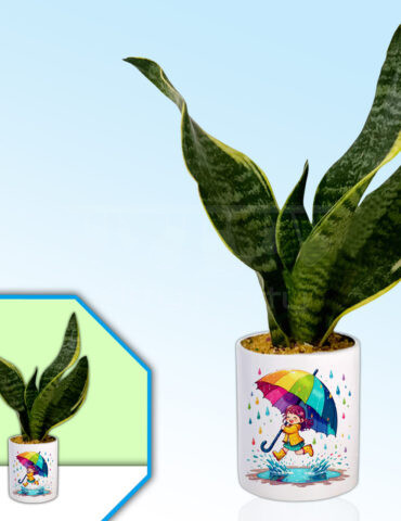 Monsoon-Theme-Planter
