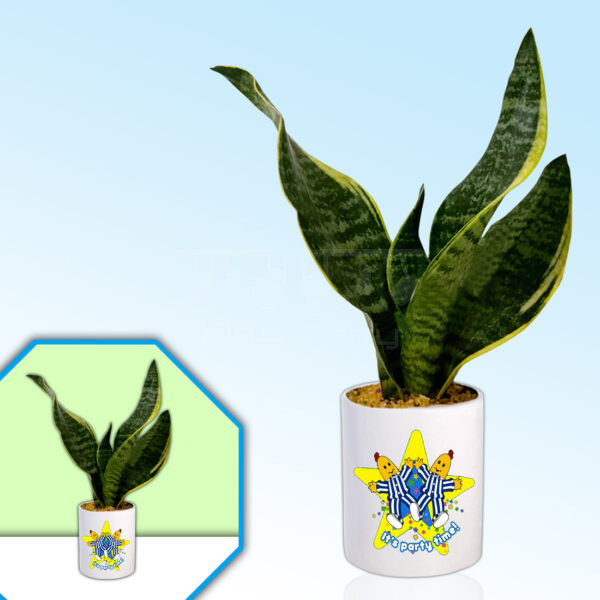 Pajama-Party-Theme-Planter