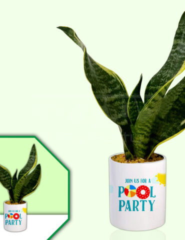 Pool-Party-Theme-Planter