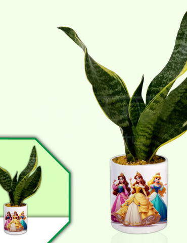 Princess-Theme-Planter