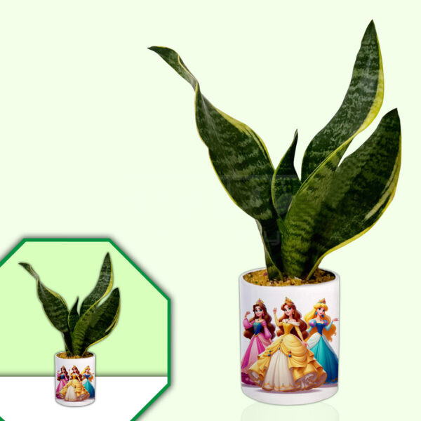 Princess-Theme-Planter