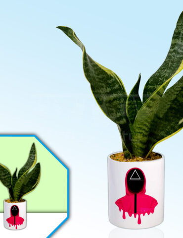Squid-Game-Theme-Planter