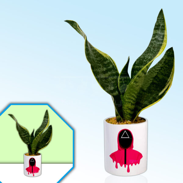 Squid-Game-Theme-Planter