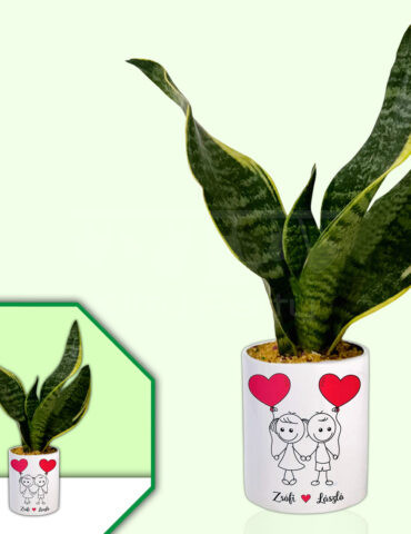 Wedding-Special-Theme-Planter